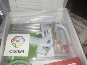 Sea Turtle Sculpture Toolkit (ES)
