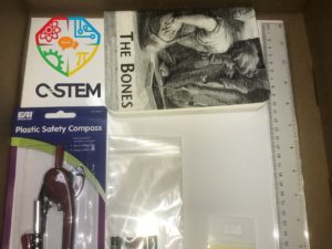 Mosaic Mural Toolkit (2nd-5th Grade)